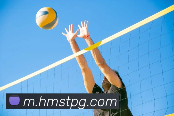 新葡京娱乐城平台生态图